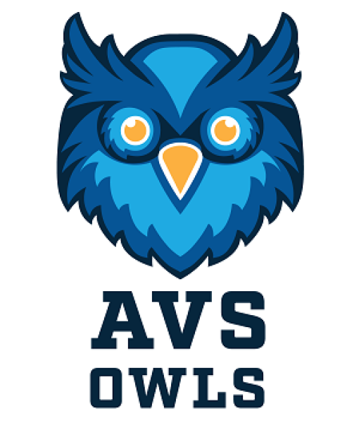 Graphic blue Owl logo 
